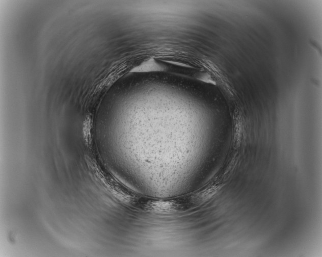 X0000100390265200806201720