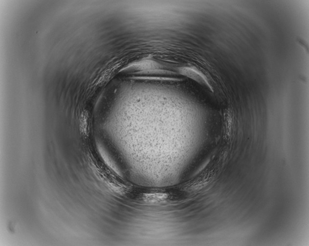 X0000100390266200806201720