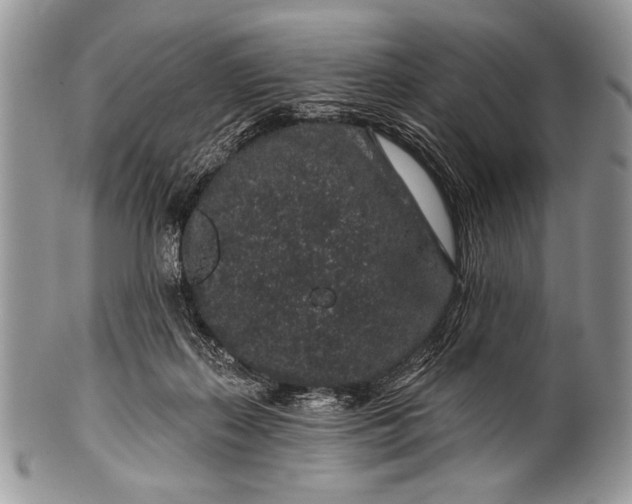 X0000100390267200806201720