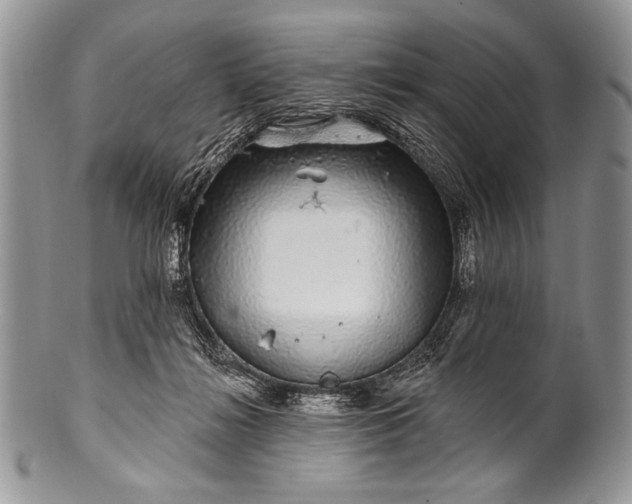 X0000100390268200806201720