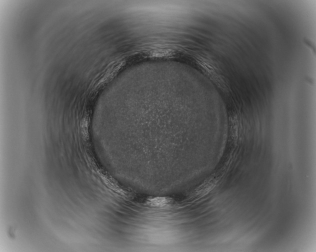 X0000100390269200806201720