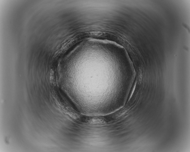 X0000100390270200806201720