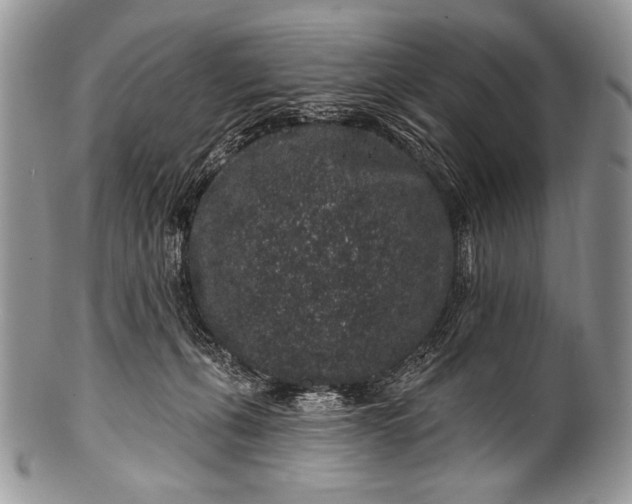 X0000100390271200806201720