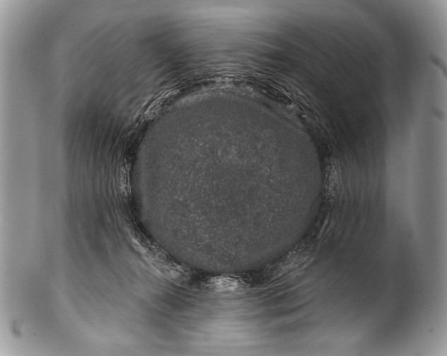 X0000100390272200806201720