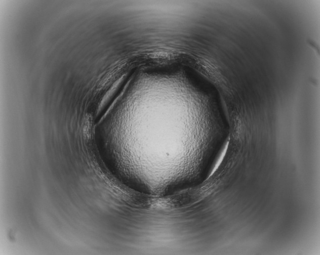 X0000100390273200806201720