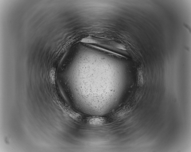 X0000100390274200806201720