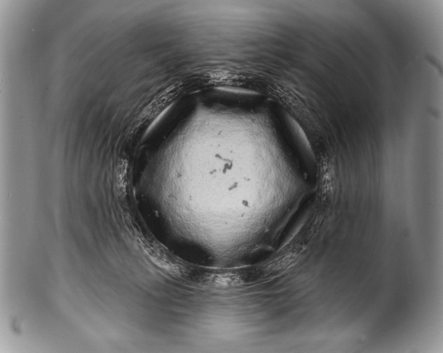 X0000100390275200806201720