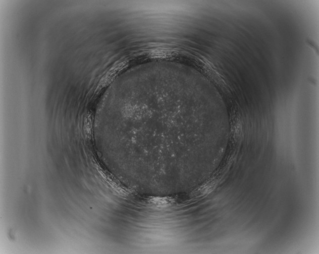 X0000100390277200806201720