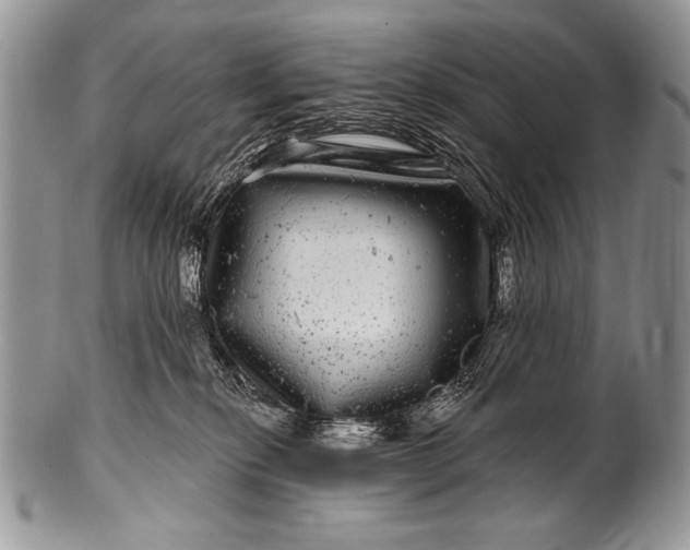 X0000100390278200806201720