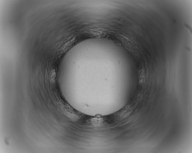 X0000100390279200806201720