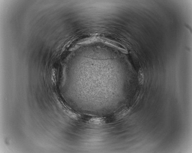 X0000100390280200806201720