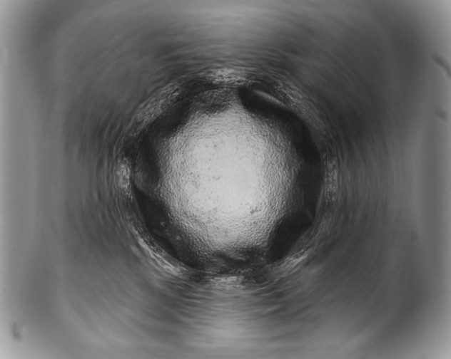 X0000100390281200806201720