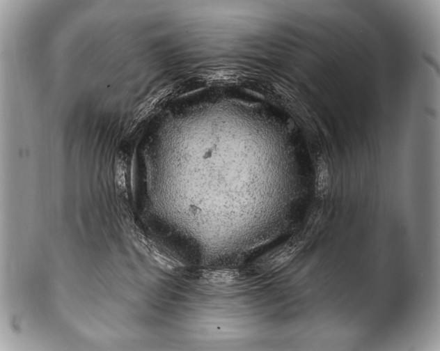 X0000100390282200806201720