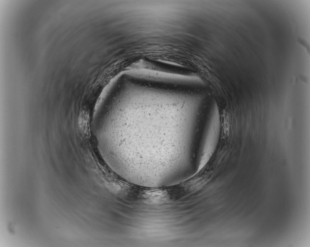 X0000100390283200806201720