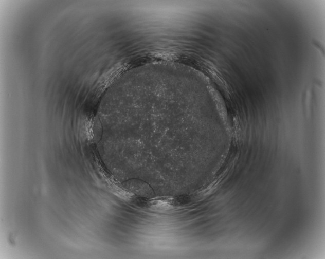 X0000100390285200806201721