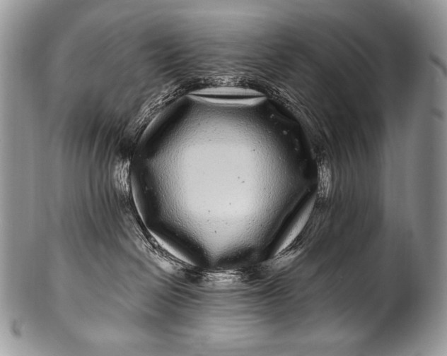 X0000100390286200806201721