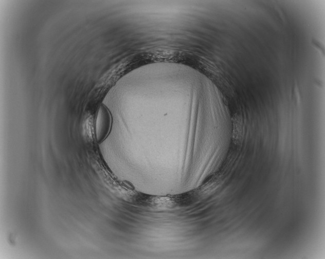 X0000100390287200806201721