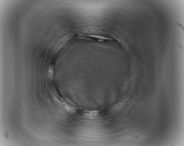 X0000100390288200806201721