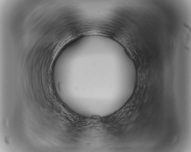 X0000100390289200806201720