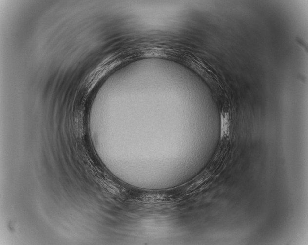 X0000100390291200806201720