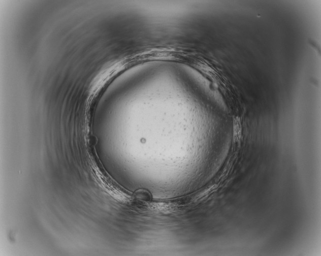 X0000100390293200806201720