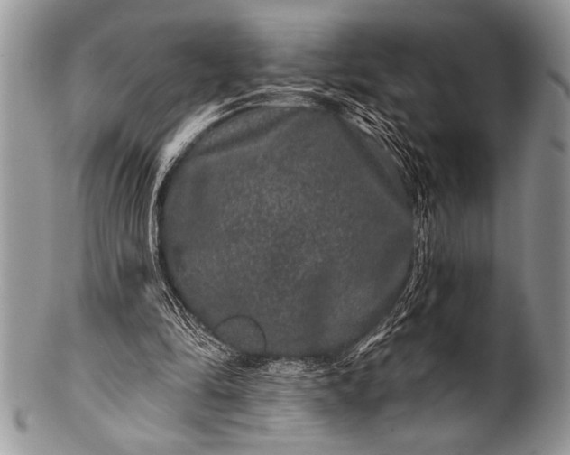 X0000100390294200806201720