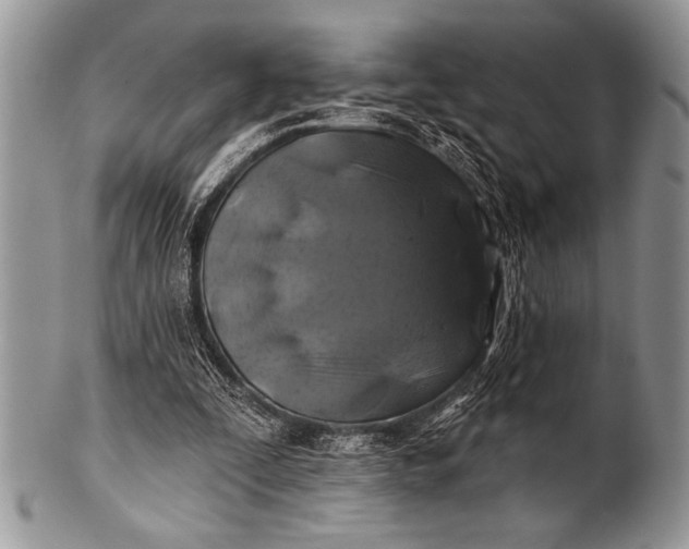 X0000100390295200806201720