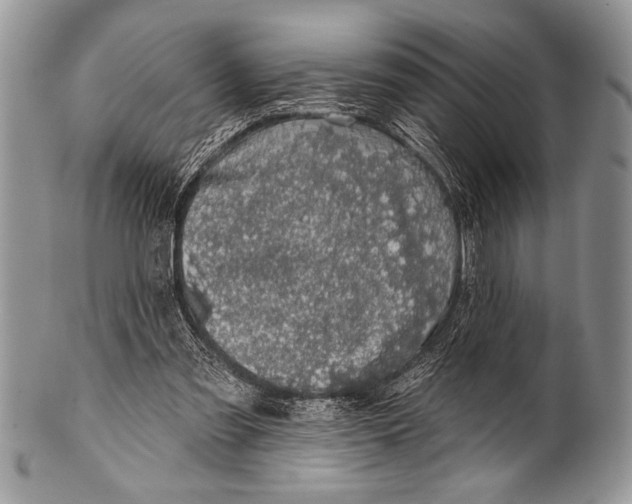 X0000100390301200806201720