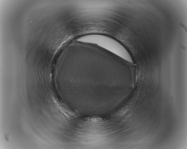 X0000100390304200806201720