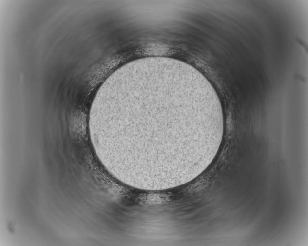 X0000100390305200806201720