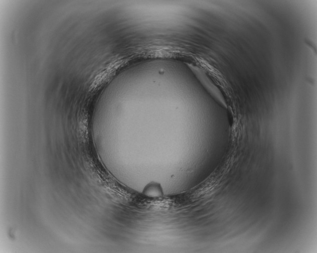 X0000100390306200806201720