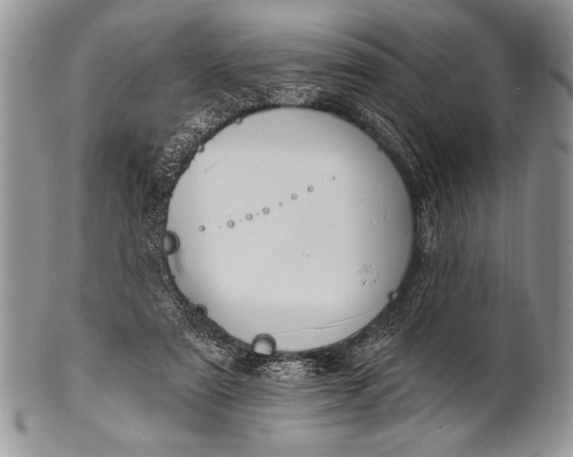 X0000100390307200806201720