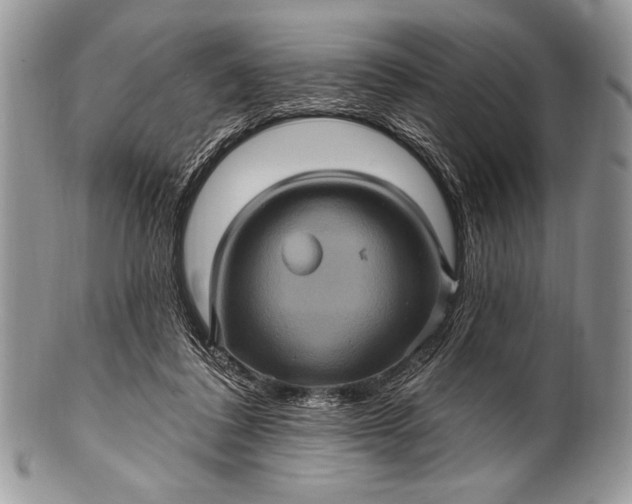 X0000100390308200806201720