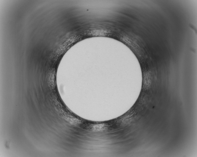 X0000100390309200806201720