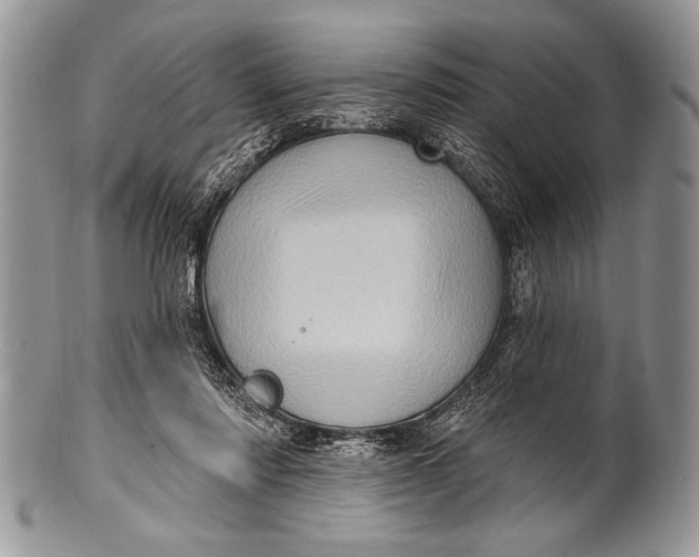 X0000100390310200806201720