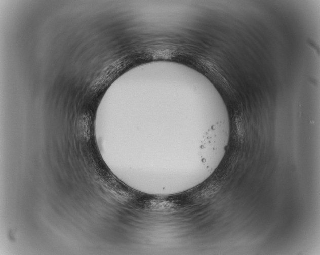 X0000100390311200806201720