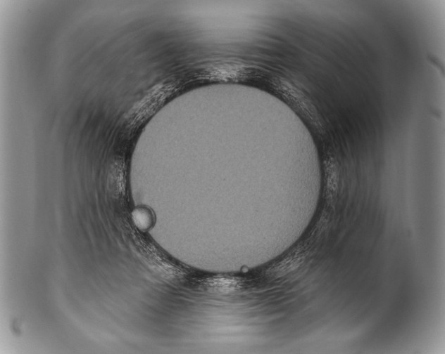 X0000100390313200806201720