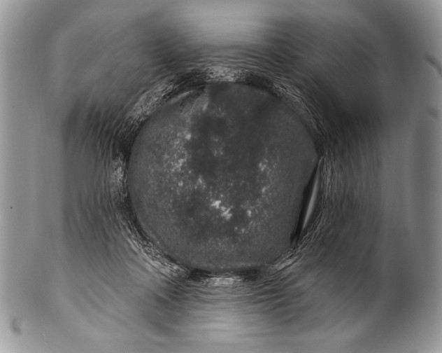 X0000100390314200806201719