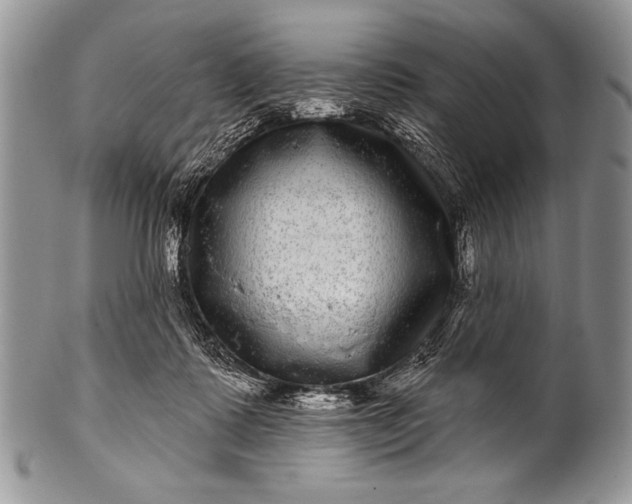 X0000100390315200806201719