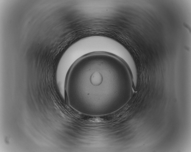 X0000100390316200806201719