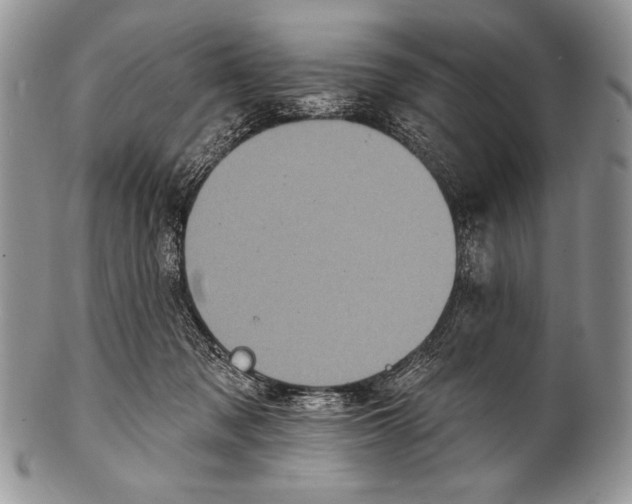 X0000100390317200806201719