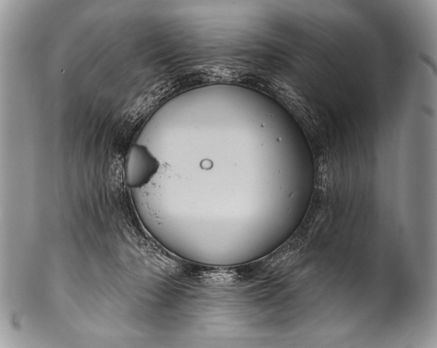 X0000100390318200806201719