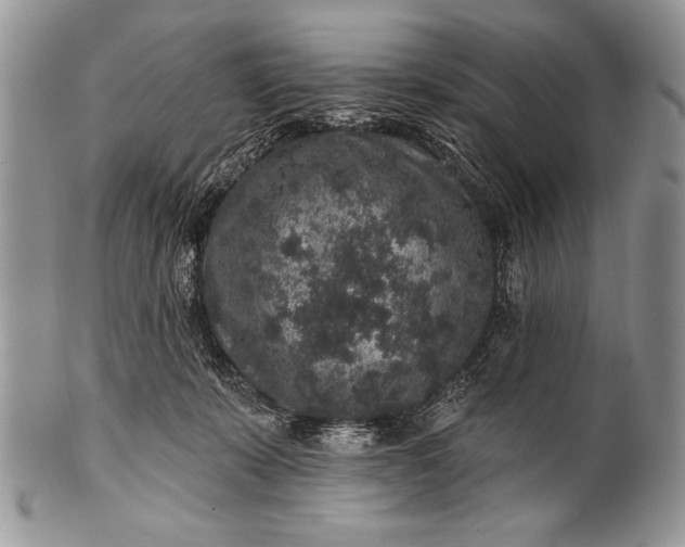 X0000100390319200806201719