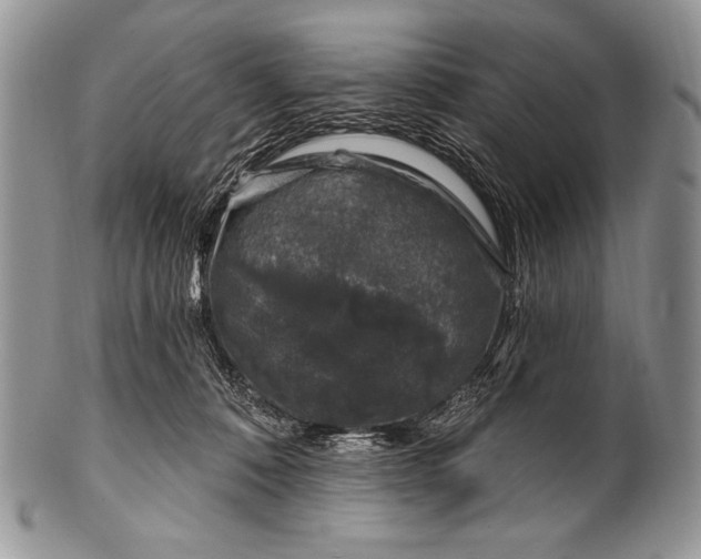 X0000100390320200806201719