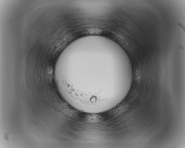 X0000100390321200806201719