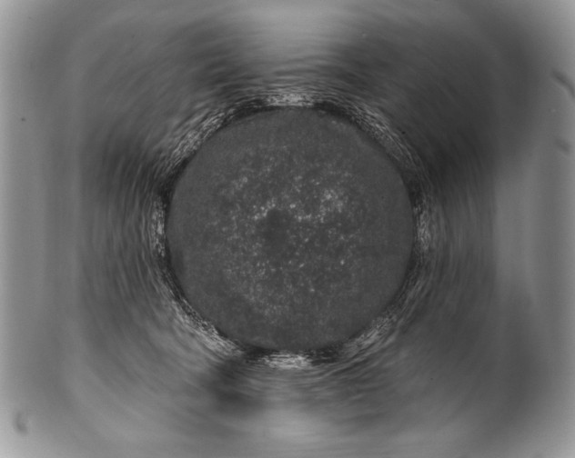 X0000100390322200806201719