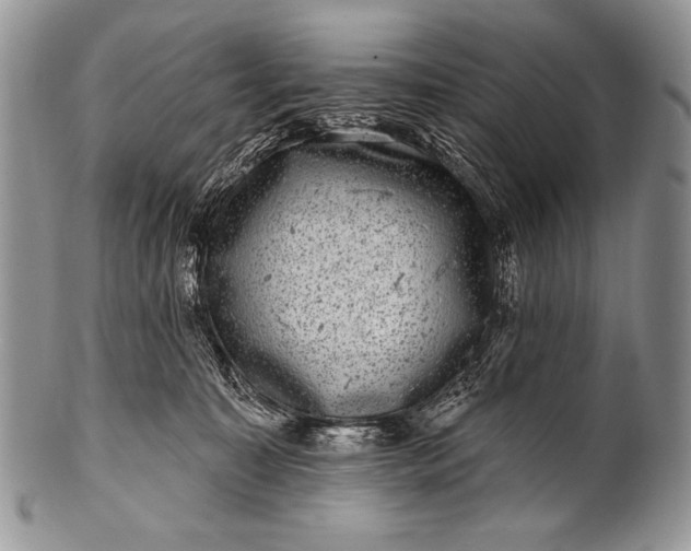 X0000100390323200806201719