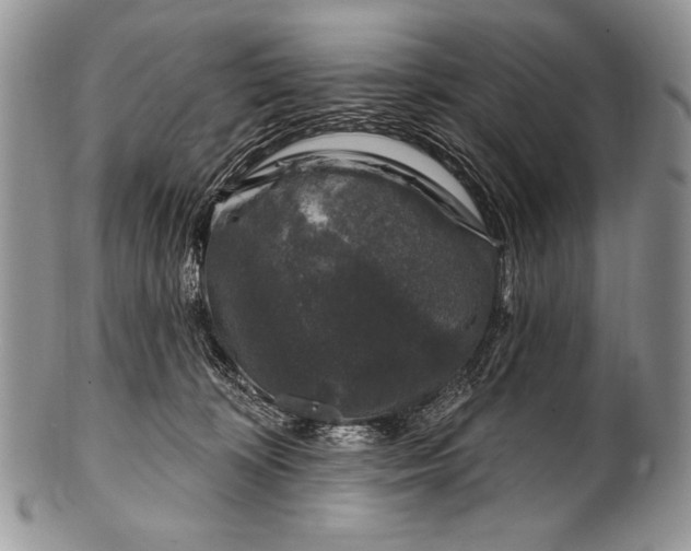 X0000100390324200806201719