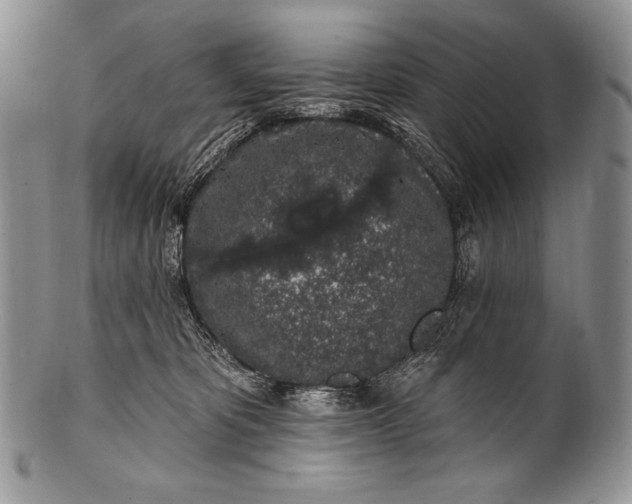 X0000100390325200806201719