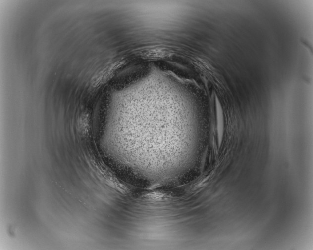 X0000100390326200806201719